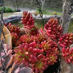 Casa Do Serrador 게스트하우스 비에이라도미노