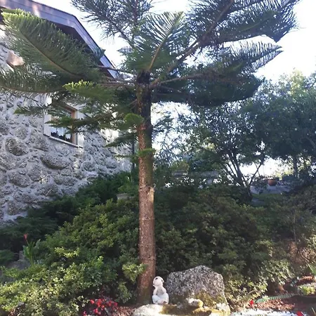 Casa Do Serrador Gasthof Vieira do Minho