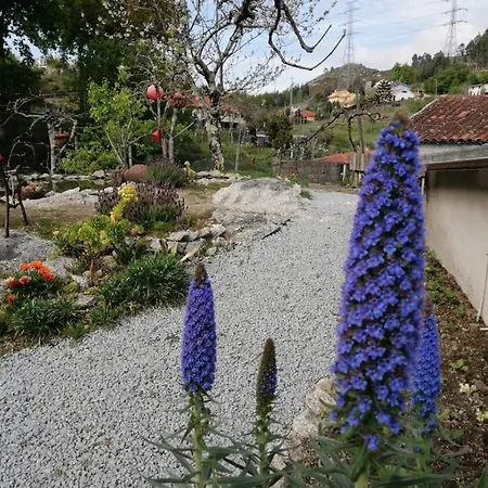 Casa Do Serrador Vieira do Minho