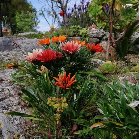 Guest house Casa Do Serrador