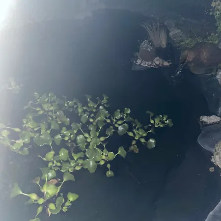 Guest house Casa Do Serrador Vieira do Minho