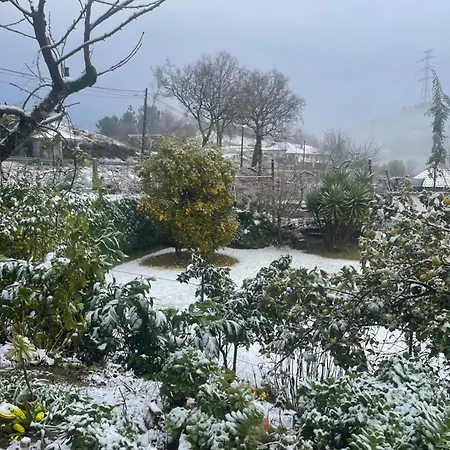 Casa Do Serrador Casa de hóspedes Vieira do Minho