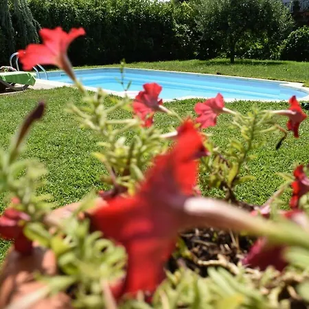 בית הארחה Casa Do Serrador *