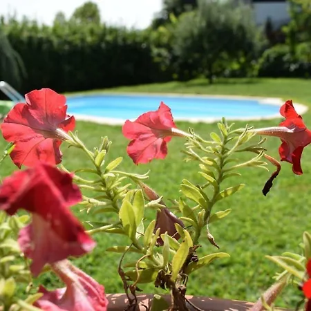 Guest house Casa Do Serrador Vieira do Minho