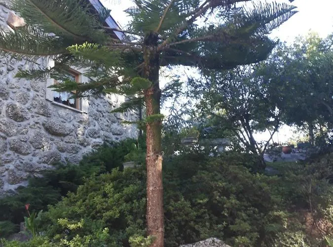 Casa Do Serrador 게스트하우스 비에이라도미노