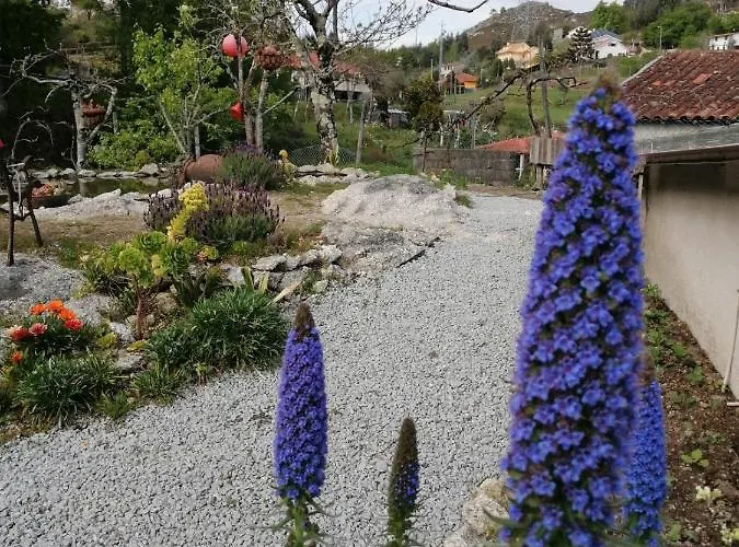 Casa Do Serrador 비에이라도미노