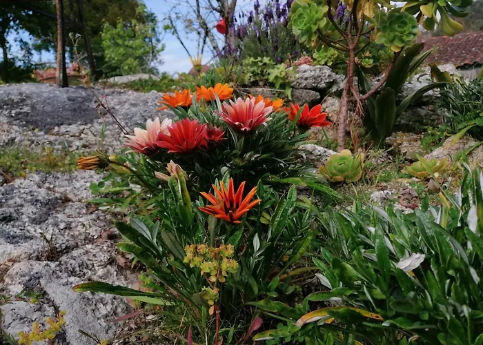 게스트하우스 Casa Do Serrador