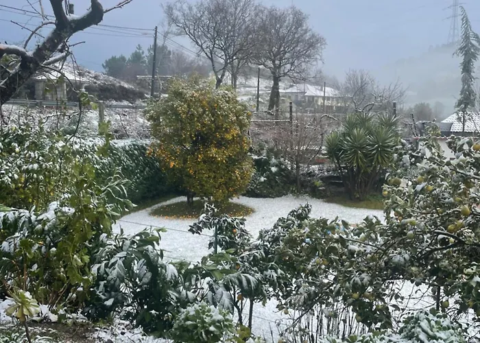 Casa Do Serrador 게스트하우스 비에이라도미노