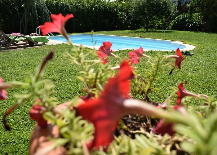 게스트하우스 Casa Do Serrador *