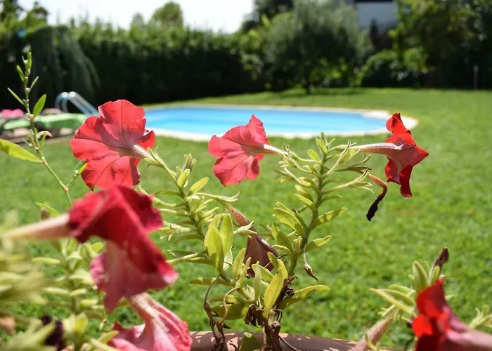 Casa de hóspedes Casa Do Serrador Vieira do Minho